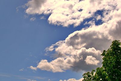 Low angle view of trees against cloudy sky