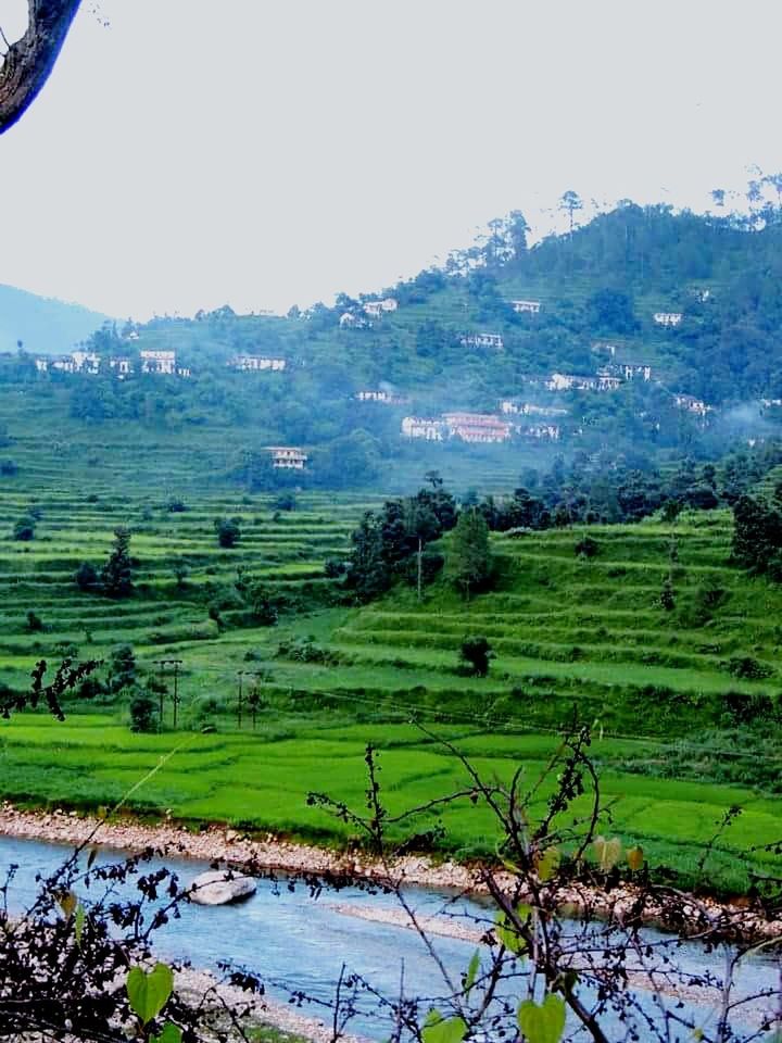 Lush green mountains