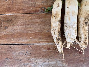 High angle view of dead fish on table