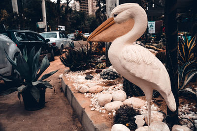 Pelican statue on roadside in city