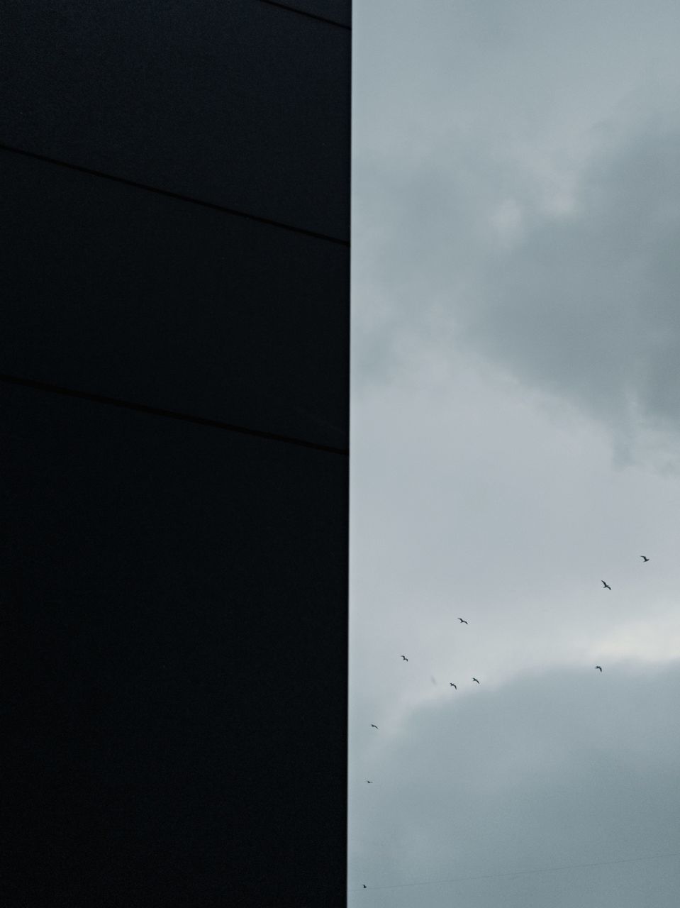 sky, animal themes, bird, wildlife, animal, cloud, line, flying, animal wildlife, building exterior, no people, architecture, nature, black, group of animals, built structure, low angle view, white, light, day, outdoors, building, large group of animals, blue, flock of birds, mid-air