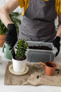 Midsection of man holding potted plant