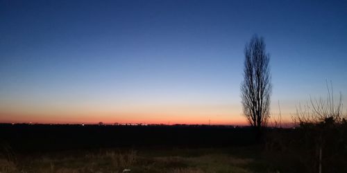 Silhouette plants on field against clear sky during sunset