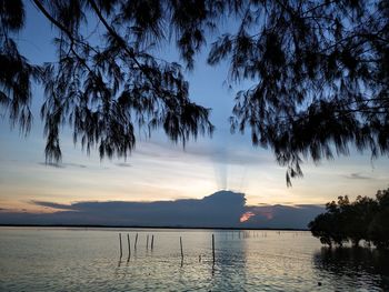 Silhouette trees by sea against sky during sunset