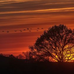 Scenic view of sunset