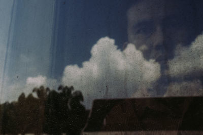 Trees against sky seen through window