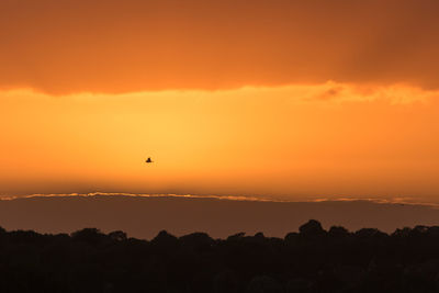 Scenic view of bird  flying through orange sunset sky