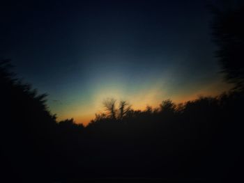 Silhouette trees against sky at sunset