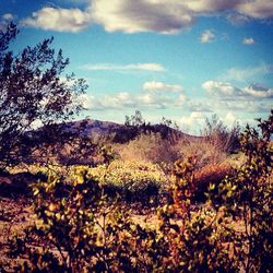 Scenic view of landscape against sky