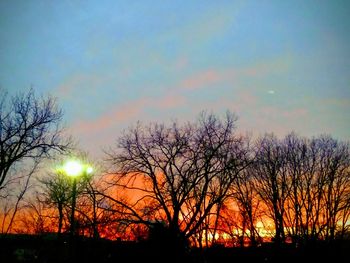 Low angle view of silhouette bare trees against sky during sunset