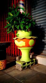 Potted plants