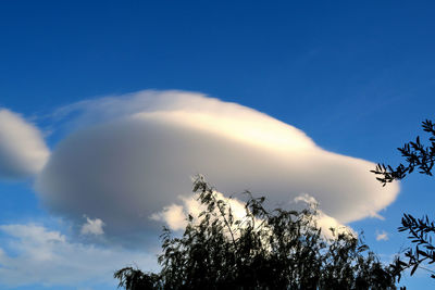 Low angle view of silhouette trees against sky