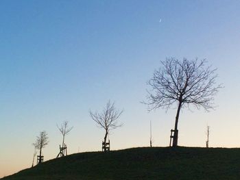 Low angle view of bare tree against clear sky