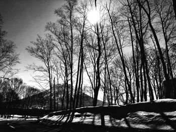 Bare trees on snow covered land against sky