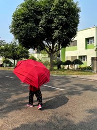 umbrella