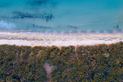 Aerial view of green landscape by beach