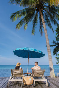 Palm trees on beach