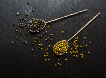 High angle view of leaf on table against black background