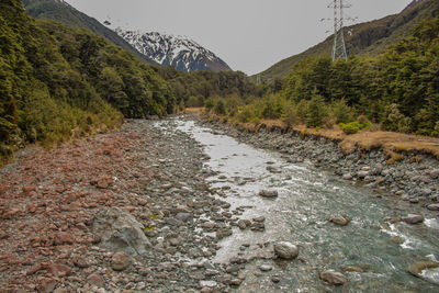 Surface level of stream amidst trees against sky