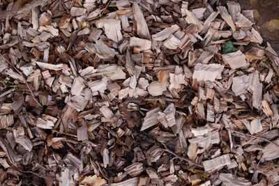 Full frame shot of leaves on wood
