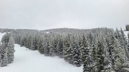 Scenic view of snow covered field against sky