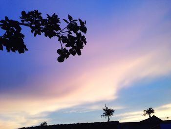 Low angle view of silhouette trees against sky at sunset