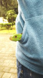 Close-up of hand holding lizard