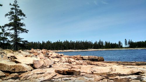 View of rocky shore against calm blue sea