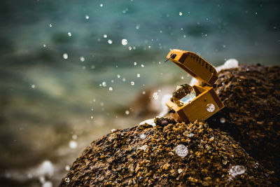 Close-up of rock on sea shore against sky