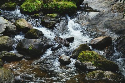 River flowing through rocks in forest