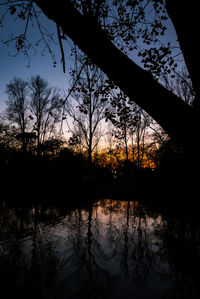 Silhouette trees by lake against sky at sunset