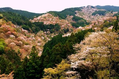 Scenic view of mountains