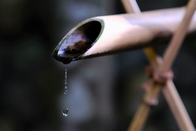 Close up of water