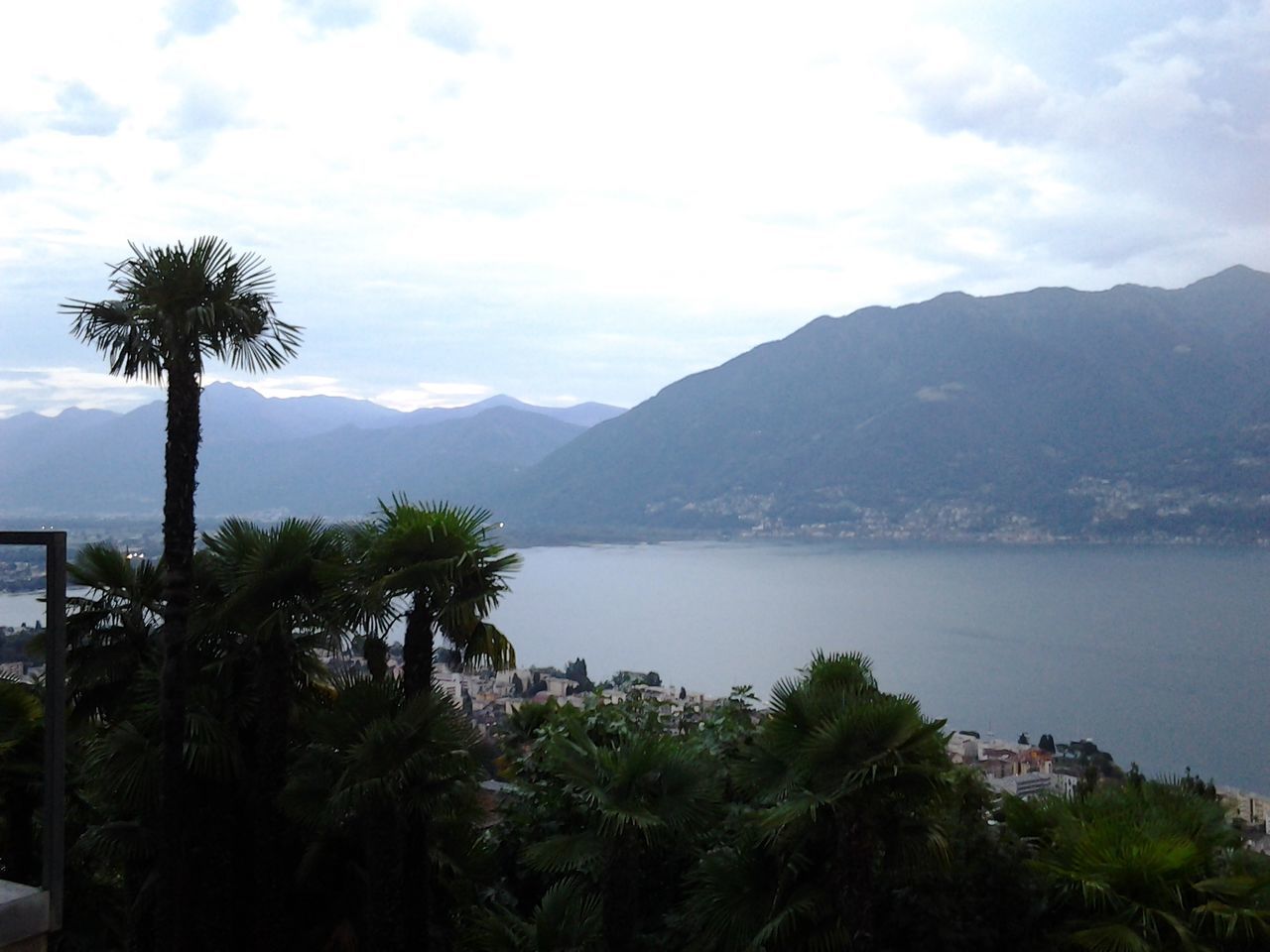 PALM TREES BY MOUNTAINS AGAINST SKY