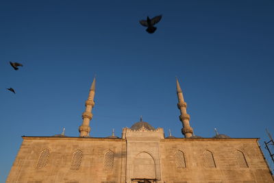 Low angle view of bird flying against clear sky