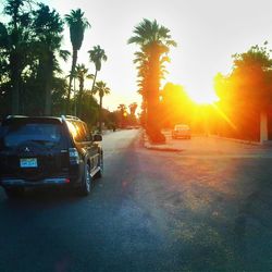 Cars on road at sunset