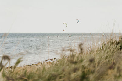 Scenic view of sea against clear sky