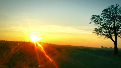 Sun shining through landscape