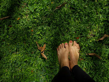 Low section of woman standing on grassy field