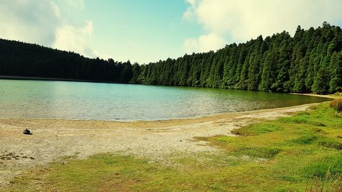 Panoramic view of lake and trees against sky