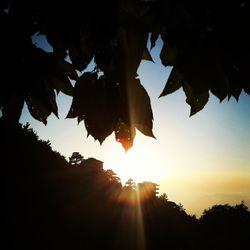 Silhouette trees against sky during sunset