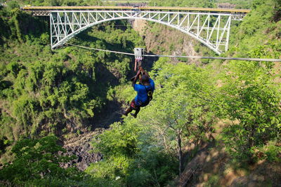 Man standing on bridge in forest