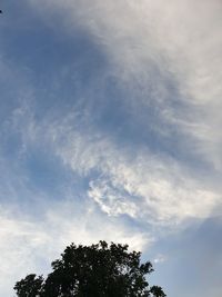 Low angle view of tree against cloudy sky