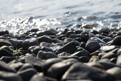 Close-up of pebbles on beach against sky