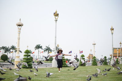 Playful woman chasing pigeons at park against clear sky