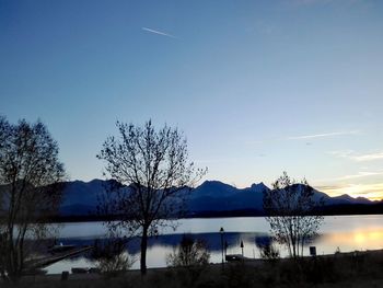 Bare trees by lake against sky