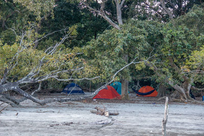 Tent in forest