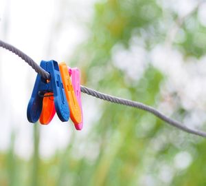 Close-up of multi colored hanging on rope against trees