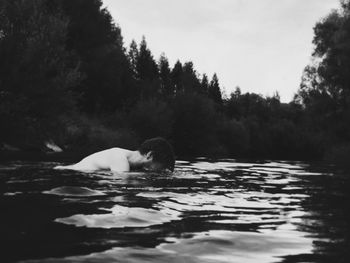 Swan swimming in lake against trees