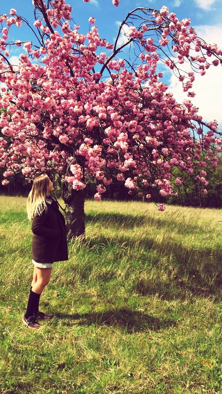 flower, grass, tree, lifestyles, freshness, leisure activity, growth, person, field, nature, beauty in nature, blossom, full length, branch, park - man made space, rear view, standing, day